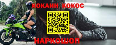 молекула духа Кингисепп