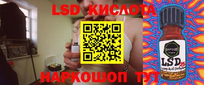 молекула духа Кингисепп