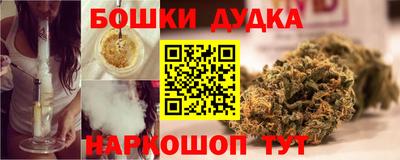 молекула духа Кингисепп