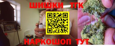 молекула духа Кингисепп
