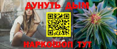 молекула духа Кингисепп