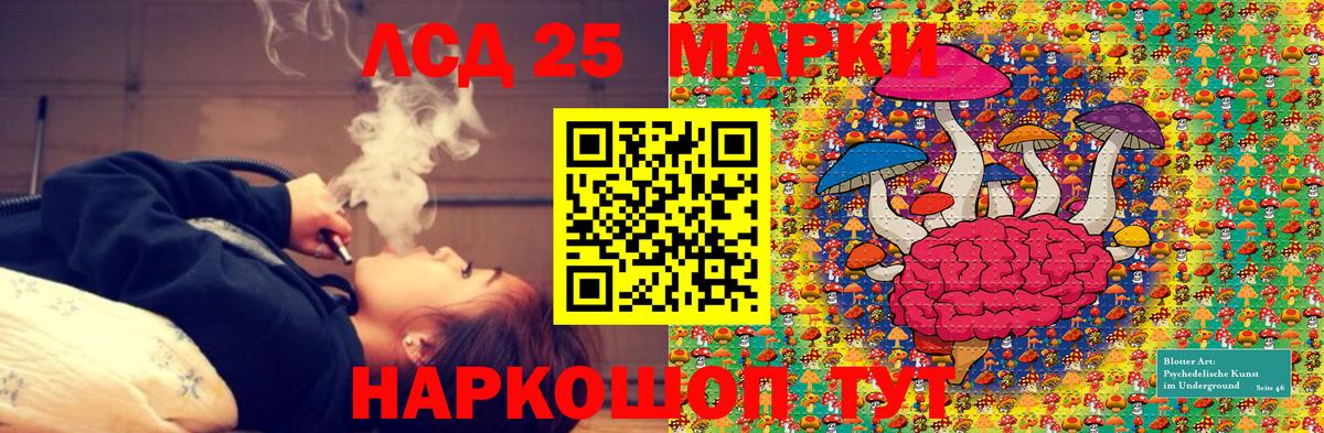Марки N-bome 1500мкг  Вход с VPN  как найти наркотики  Королёв  Марки N-bome 1500мкг 