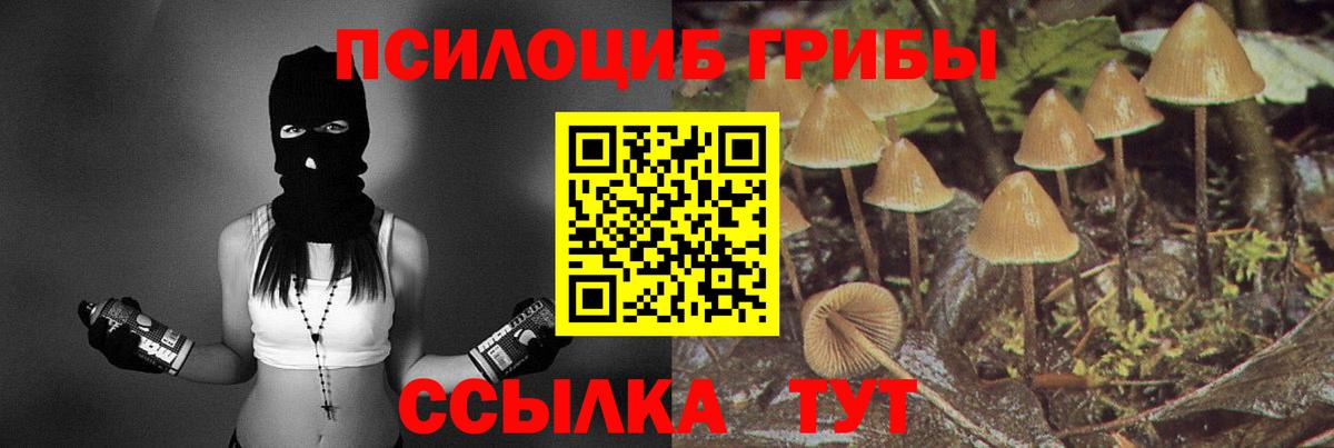 Псилоцибиновые грибы прущие грибы Королёв